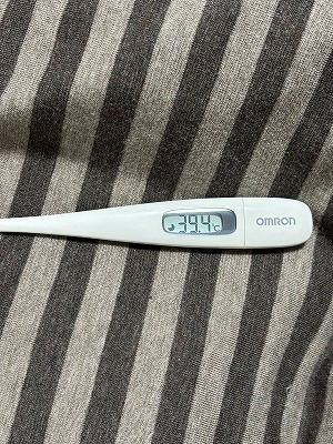 【リヤドダートスプリント】日本馬、海外に通用せず
 | やっちまった速報(最新記事1)