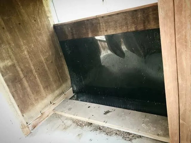 【画像】この糞みたいなトイレを考えたやつ、ガチで正気じゃないだろ... | 【画像】この糞みたいなトイレを考えたやつ、ガチで正気じゃないだろ... | 【画像】この糞みたいなトイレを考えたやつ、ガチで正気じゃないだろ... | 【画像】この糞みたいなトイレを考えたやつ、ガチで正気じゃないだろ... | 【画像】この糞みたいなトイレを考えたやつ、ガチで正気じゃないだろ... | やっちまった速報(画像15234005947137_5)