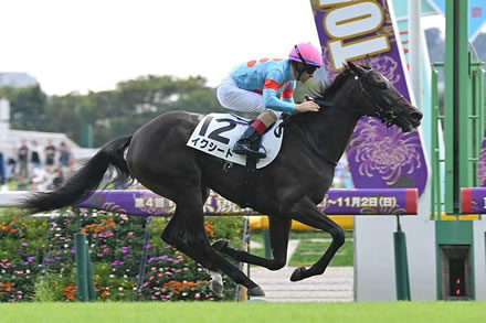 ギャンブルとか株とかする奴ってほんと負け組で頭悪いと思うわ
 | やっちまった速報(最新記事2)