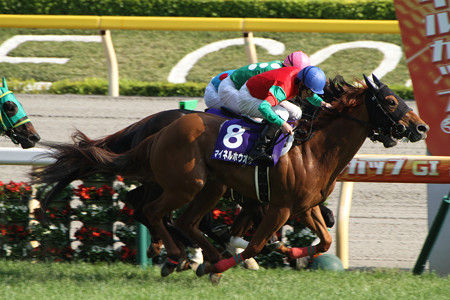 やっちまった速報(最新記事2)