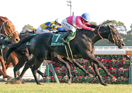 【画像】ワイの40万円のロボット見てくれｗｗｗｗ
 | やっちまった速報(最新記事1)