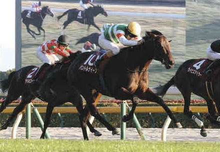 【新台】三洋「PAわんわんパラダイスCELEBRATION」試打動画が公開！ | やっちまった速報(最新記事3)