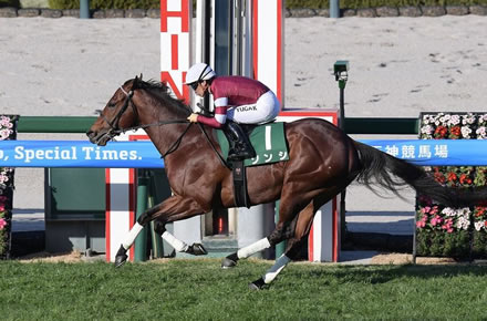 やっちまった速報(最新記事9)