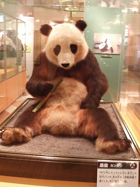 【画像】日本の博物館、とんでもない大行列になってしまうｗｗｗｗｗｗ | 【画像】日本の博物館、とんでもない大行列になってしまうｗｗｗｗｗｗ | 【画像】日本の博物館、とんでもない大行列になってしまうｗｗｗｗｗｗ | 【画像】日本の博物館、とんでもない大行列になってしまうｗｗｗｗｗｗ | 【画像】日本の博物館、とんでもない大行列になってしまうｗｗｗｗｗｗ | やっちまった速報(画像22173831771613_5)