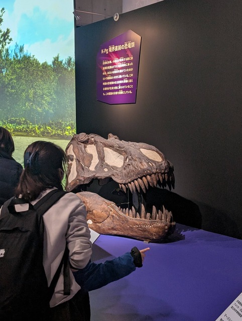 【画像】日本の博物館、とんでもない大行列になってしまうｗｗｗｗｗｗ | 【画像】日本の博物館、とんでもない大行列になってしまうｗｗｗｗｗｗ | 【画像】日本の博物館、とんでもない大行列になってしまうｗｗｗｗｗｗ | 【画像】日本の博物館、とんでもない大行列になってしまうｗｗｗｗｗｗ | 【画像】日本の博物館、とんでもない大行列になってしまうｗｗｗｗｗｗ | 【画像】日本の博物館、とんでもない大行列になってしまうｗｗｗｗｗｗ | やっちまった速報(画像22173832253366_6)