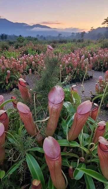 【画像】女の子、おち◯ち◯が写ってるように見える写真にびっくりしてしまうｗｗｗｗｗｗ | 【画像】女の子、おち◯ち◯が写ってるように見える写真にびっくりしてしまうｗｗｗｗｗｗ | 【画像】女の子、おち◯ち◯が写ってるように見える写真にびっくりしてしまうｗｗｗｗｗｗ | 【画像】女の子、おち◯ち◯が写ってるように見える写真にびっくりしてしまうｗｗｗｗｗｗ | 【画像】女の子、おち◯ち◯が写ってるように見える写真にびっくりしてしまうｗｗｗｗｗｗ | 【画像】女の子、おち◯ち◯が写ってるように見える写真にびっくりしてしまうｗｗｗｗｗｗ | 【画像】女の子、おち◯ち◯が写ってるように見える写真にびっくりしてしまうｗｗｗｗｗｗ | 【画像】女の子、おち◯ち◯が写ってるように見える写真にびっくりしてしまうｗｗｗｗｗｗ | 【画像】女の子、おち◯ち◯が写ってるように見える写真にびっくりしてしまうｗｗｗｗｗｗ | 【画像】女の子、おち◯ち◯が写ってるように見える写真にびっくりしてしまうｗｗｗｗｗｗ | やっちまった速報(画像22213826242492_10)