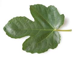 【画像】有識者「日本の天狗とユダヤ人が酷似してる…」6万イイね！ガチでヤバいｗｗｗｗ | 【画像】有識者「日本の天狗とユダヤ人が酷似してる…」6万イイね！ガチでヤバいｗｗｗｗ | 【画像】有識者「日本の天狗とユダヤ人が酷似してる…」6万イイね！ガチでヤバいｗｗｗｗ | 【画像】有識者「日本の天狗とユダヤ人が酷似してる…」6万イイね！ガチでヤバいｗｗｗｗ | 【画像】有識者「日本の天狗とユダヤ人が酷似してる…」6万イイね！ガチでヤバいｗｗｗｗ | やっちまった速報(画像23231518053388_5)