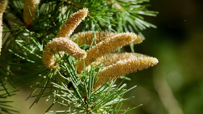 やっちまった速報(最新記事5)