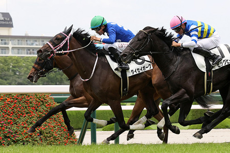 やっちまった速報(最新記事7)