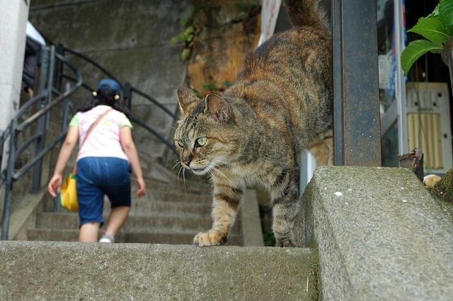 【朗報】明らかに合成の犬、発見されるｗｗｗ | 【朗報】明らかに合成の犬、発見されるｗｗｗ | 【朗報】明らかに合成の犬、発見されるｗｗｗ | 【朗報】明らかに合成の犬、発見されるｗｗｗ | 【朗報】明らかに合成の犬、発見されるｗｗｗ | 【朗報】明らかに合成の犬、発見されるｗｗｗ | 【朗報】明らかに合成の犬、発見されるｗｗｗ | 【朗報】明らかに合成の犬、発見されるｗｗｗ | 【朗報】明らかに合成の犬、発見されるｗｗｗ | 【朗報】明らかに合成の犬、発見されるｗｗｗ | 【朗報】明らかに合成の犬、発見されるｗｗｗ | 【朗報】明らかに合成の犬、発見されるｗｗｗ | 【朗報】明らかに合成の犬、発見されるｗｗｗ | 【朗報】明らかに合成の犬、発見されるｗｗｗ | 【朗報】明らかに合成の犬、発見されるｗｗｗ | 【朗報】明らかに合成の犬、発見されるｗｗｗ | 【朗報】明らかに合成の犬、発見されるｗｗｗ | やっちまった速報(画像03065307063148_17)