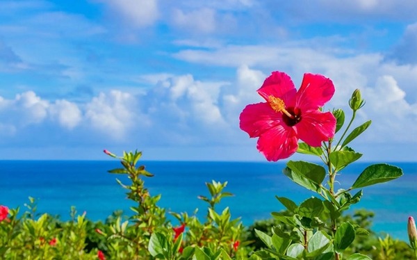 やっちまった速報(最新記事2)