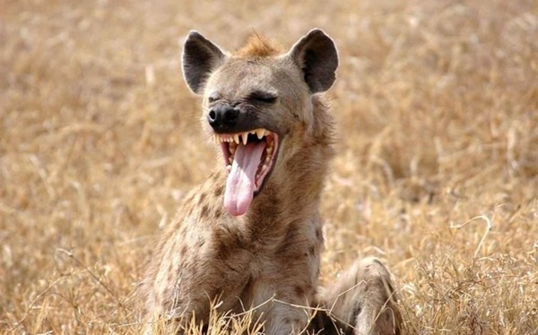 大都、スロット新機種ティザーPVを公開！
 | やっちまった速報(最新記事1)