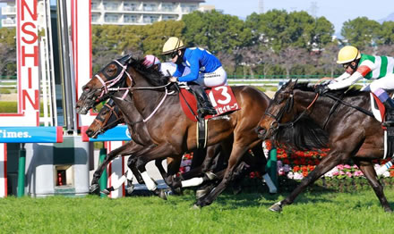 【衝撃】運動、週一40秒で充分だったと判明するｗｗｗｗｗｗｗｗ
 | やっちまった速報(最新記事2)