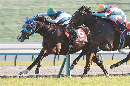 【画像】エロすぎて思わず２度見してしまうフィリピンハーフ女子ｗｗｗｗ
 | やっちまった速報(最新記事3)