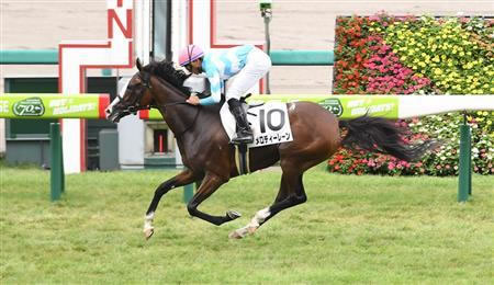 やっちまった速報(最新記事6)