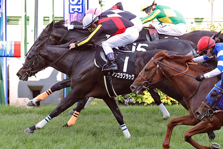 「最近のパチンコ荒すぎて打てない」　依存症すら敬遠する“LT機”のムリゲーっぷりを嘆く声
 | やっちまった速報(最新記事6)