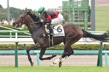 【画像】ムッチムチ台湾チアリーダーさん、日本で「熱い一晩」を過ごす…wwwww
 | やっちまった速報(最新記事1)