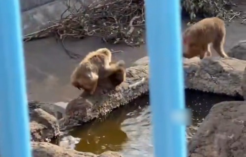 【悲報】世界史を完璧に勉強したJK、愛国者を発狂させてしまう
 | やっちまった速報(最新記事1)