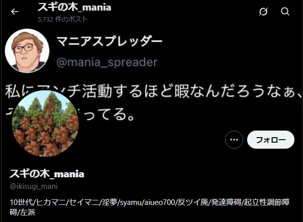 【画像】X民「こういう