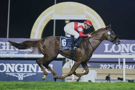 パチンコで9万負けた
 | やっちまった速報(最新記事1)