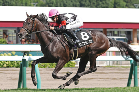 やっちまった速報(最新記事1)