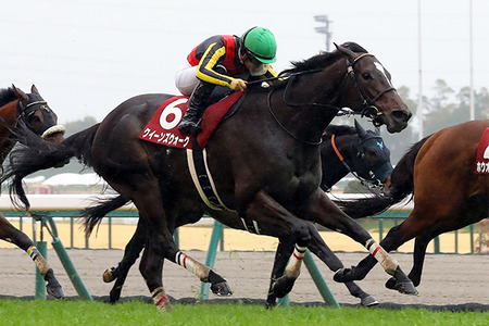 やっちまった速報(最新記事8)