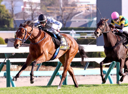 【緊急速報】鬼神ワイ、負けたら全てを破壊するつもりで借金してパチンコ屋へ突撃
 | やっちまった速報(最新記事1)