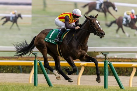 やっちまった速報(最新記事15)