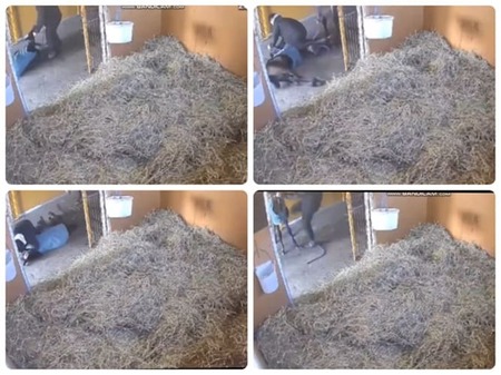 【画像】実写版ワンピース、海外でとんでもない高評価を獲得していたｗｗｗ
 | やっちまった速報(最新記事2)