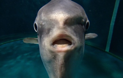 【阪神大賞典】レッドバンデとはなんだったのか
 | やっちまった速報(最新記事1)