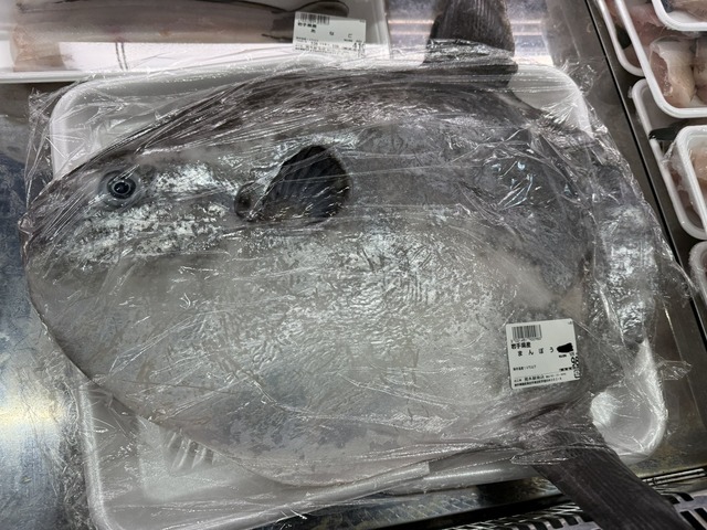 (ヽ´ん`) 「マンボウって足が早いよな」　彡(ﾟ)(ﾟ)「いや泳ぐの遅いぞ」　(ヽ´ん`) 「腐りやすいって意味だぞ」 | (ヽ´ん`) 「マンボウって足が早いよな」　彡(ﾟ)(ﾟ)「いや泳ぐの遅いぞ」　(ヽ´ん`) 「腐りやすいって意味だぞ」 | やっちまった速報(画像24074504094503_2)