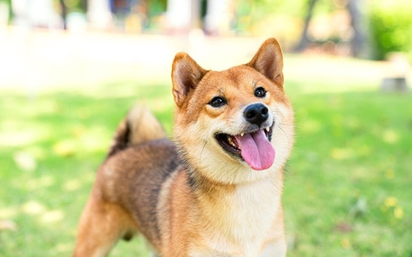 【悲報】チケットぴあさん、オタクから利用料＆手数料＆電子チケット手数料を搾取しまくるｗｗｗｗ
 | やっちまった速報(最新記事1)