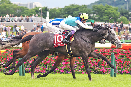 【悲報】女向け同人音声、急にBL要素をぶっ込んできて女オタクさんブチギレｗｗｗ
 | やっちまった速報(最新記事1)