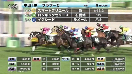 選挙と競馬の共通点
 | やっちまった速報(最新記事1)
