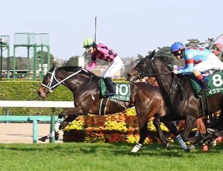 やっちまった速報(最新記事4)