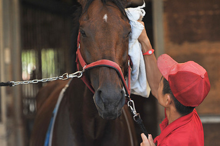 やっちまった速報(最新記事18)