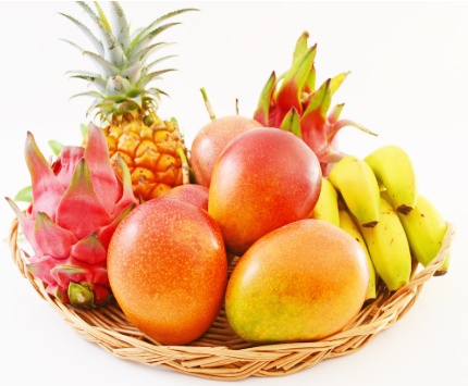 大ヒットR18コミック「入り浸りギャル」シリーズ、カリカリ女が登場してしまうｗｗｗ
 | やっちまった速報(最新記事2)