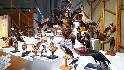 小倉競馬、爆売れで売り上げレコード更新
 | やっちまった速報(最新記事1)