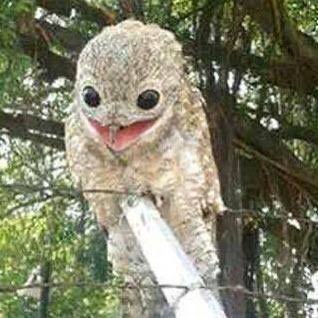 【画像】ワイ「たまには鳥さんの話しようや、ネット民の一番好きな鳥は？」 | 【画像】ワイ「たまには鳥さんの話しようや、ネット民の一番好きな鳥は？」 | 【画像】ワイ「たまには鳥さんの話しようや、ネット民の一番好きな鳥は？」 | 【画像】ワイ「たまには鳥さんの話しようや、ネット民の一番好きな鳥は？」 | 【画像】ワイ「たまには鳥さんの話しようや、ネット民の一番好きな鳥は？」 | 【画像】ワイ「たまには鳥さんの話しようや、ネット民の一番好きな鳥は？」 | 【画像】ワイ「たまには鳥さんの話しようや、ネット民の一番好きな鳥は？」 | 【画像】ワイ「たまには鳥さんの話しようや、ネット民の一番好きな鳥は？」 | 【画像】ワイ「たまには鳥さんの話しようや、ネット民の一番好きな鳥は？」 | 【画像】ワイ「たまには鳥さんの話しようや、ネット民の一番好きな鳥は？」 | 【画像】ワイ「たまには鳥さんの話しようや、ネット民の一番好きな鳥は？」 | 【画像】ワイ「たまには鳥さんの話しようや、ネット民の一番好きな鳥は？」 | 【画像】ワイ「たまには鳥さんの話しようや、ネット民の一番好きな鳥は？」 | 【画像】ワイ「たまには鳥さんの話しようや、ネット民の一番好きな鳥は？」 | 【画像】ワイ「たまには鳥さんの話しようや、ネット民の一番好きな鳥は？」 | 【画像】ワイ「たまには鳥さんの話しようや、ネット民の一番好きな鳥は？」 | 【画像】ワイ「たまには鳥さんの話しようや、ネット民の一番好きな鳥は？」 | 【画像】ワイ「たまには鳥さんの話しようや、ネット民の一番好きな鳥は？」 | 【画像】ワイ「たまには鳥さんの話しようや、ネット民の一番好きな鳥は？」 | やっちまった速報(画像27030615943323_19)