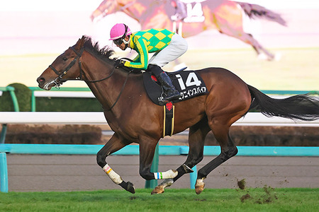 【悲報】ワイの彼女、S●Xしても全く喘がない・・・・・・
 | やっちまった速報(最新記事3)