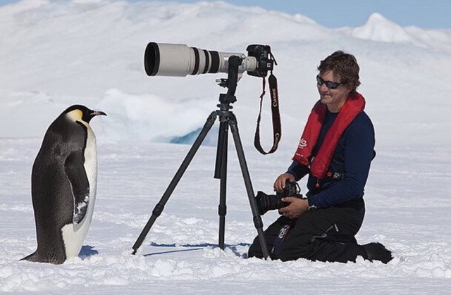 【謎】南極のペンギン、1日に1万回も4秒アレを繰り返していたｗｗｗｗｗ | 【謎】南極のペンギン、1日に1万回も4秒アレを繰り返していたｗｗｗｗｗ | 【謎】南極のペンギン、1日に1万回も4秒アレを繰り返していたｗｗｗｗｗ | 【謎】南極のペンギン、1日に1万回も4秒アレを繰り返していたｗｗｗｗｗ | 【謎】南極のペンギン、1日に1万回も4秒アレを繰り返していたｗｗｗｗｗ | やっちまった速報(画像28184424119097_5)