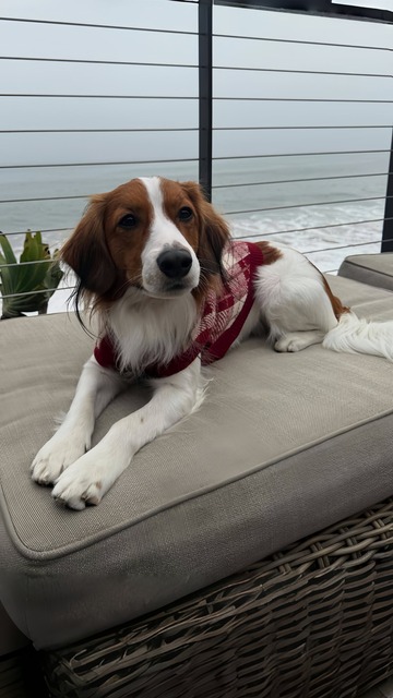 ワイ「ゴールデンレトリバー飼い始めた」お前ら「臭い」「すぐ死ぬ」　ワイ「ほーいw画像を貼るぞー」 | ワイ「ゴールデンレトリバー飼い始めた」お前ら「臭い」「すぐ死ぬ」　ワイ「ほーいw画像を貼るぞー」 | ワイ「ゴールデンレトリバー飼い始めた」お前ら「臭い」「すぐ死ぬ」　ワイ「ほーいw画像を貼るぞー」 | ワイ「ゴールデンレトリバー飼い始めた」お前ら「臭い」「すぐ死ぬ」　ワイ「ほーいw画像を貼るぞー」 | ワイ「ゴールデンレトリバー飼い始めた」お前ら「臭い」「すぐ死ぬ」　ワイ「ほーいw画像を貼るぞー」 | ワイ「ゴールデンレトリバー飼い始めた」お前ら「臭い」「すぐ死ぬ」　ワイ「ほーいw画像を貼るぞー」 | ワイ「ゴールデンレトリバー飼い始めた」お前ら「臭い」「すぐ死ぬ」　ワイ「ほーいw画像を貼るぞー」 | ワイ「ゴールデンレトリバー飼い始めた」お前ら「臭い」「すぐ死ぬ」　ワイ「ほーいw画像を貼るぞー」 | ワイ「ゴールデンレトリバー飼い始めた」お前ら「臭い」「すぐ死ぬ」　ワイ「ほーいw画像を貼るぞー」 | ワイ「ゴールデンレトリバー飼い始めた」お前ら「臭い」「すぐ死ぬ」　ワイ「ほーいw画像を貼るぞー」 | ワイ「ゴールデンレトリバー飼い始めた」お前ら「臭い」「すぐ死ぬ」　ワイ「ほーいw画像を貼るぞー」 | ワイ「ゴールデンレトリバー飼い始めた」お前ら「臭い」「すぐ死ぬ」　ワイ「ほーいw画像を貼るぞー」 | ワイ「ゴールデンレトリバー飼い始めた」お前ら「臭い」「すぐ死ぬ」　ワイ「ほーいw画像を貼るぞー」 | ワイ「ゴールデンレトリバー飼い始めた」お前ら「臭い」「すぐ死ぬ」　ワイ「ほーいw画像を貼るぞー」 | ワイ「ゴールデンレトリバー飼い始めた」お前ら「臭い」「すぐ死ぬ」　ワイ「ほーいw画像を貼るぞー」 | やっちまった速報(画像29014433801668_15)