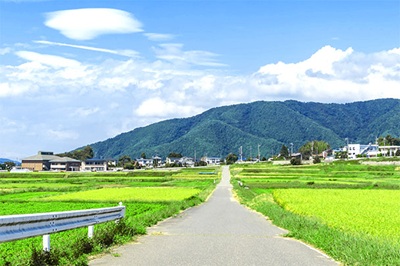 【画像】女の子「ぶつかり弱者男性を避ける方法、教えます」←効果テキメンと話題に | やっちまった速報(最新記事17)