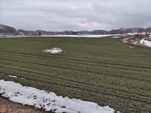 田舎、ガチで全然セ●クス出来ないｗｗｗｗｗｗｗｗｗ | 田舎、ガチで全然セ●クス出来ないｗｗｗｗｗｗｗｗｗ | やっちまった速報(画像31224427263185_2)