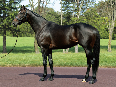 「財布がなくても打ててしまう」パチンコキャッシュレス化に賛否の嵐。依存症助長の劇薬か、救済の切り札か？
 | やっちまった速報(最新記事1)