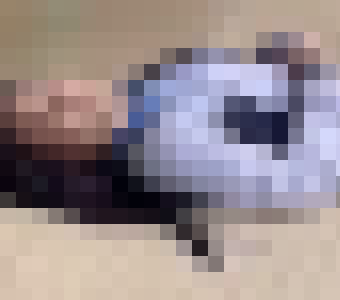 やっちまった速報(最新記事9)