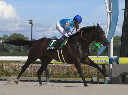 やっちまった速報(最新記事2)