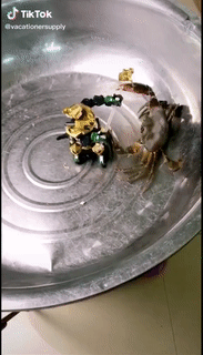 【動画】女剣士、居合斬りを極める・・・・・・・・・ | 【動画】女剣士、居合斬りを極める・・・・・・・・・ | やっちまった速報(画像06220420181189_2)