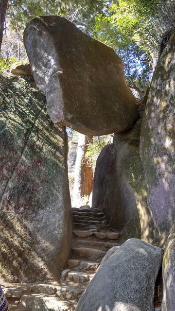 【画像】4歳の姪と登山して遊んでいただけの人、なぜか大炎上🔥 | 【画像】4歳の姪と登山して遊んでいただけの人、なぜか大炎上🔥 | 【画像】4歳の姪と登山して遊んでいただけの人、なぜか大炎上🔥 | 【画像】4歳の姪と登山して遊んでいただけの人、なぜか大炎上🔥 | 【画像】4歳の姪と登山して遊んでいただけの人、なぜか大炎上🔥 | 【画像】4歳の姪と登山して遊んでいただけの人、なぜか大炎上🔥 | 【画像】4歳の姪と登山して遊んでいただけの人、なぜか大炎上🔥 | 【画像】4歳の姪と登山して遊んでいただけの人、なぜか大炎上🔥 | 【画像】4歳の姪と登山して遊んでいただけの人、なぜか大炎上🔥 | 【画像】4歳の姪と登山して遊んでいただけの人、なぜか大炎上🔥 | やっちまった速報(画像07173508785840_10)