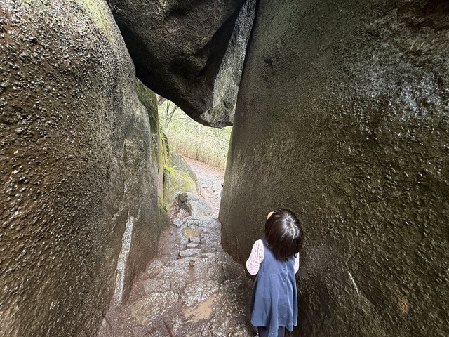 【画像】4歳の姪と登山して遊んでいただけの人、なぜか大炎上🔥 | 【画像】4歳の姪と登山して遊んでいただけの人、なぜか大炎上🔥 | 【画像】4歳の姪と登山して遊んでいただけの人、なぜか大炎上🔥 | 【画像】4歳の姪と登山して遊んでいただけの人、なぜか大炎上🔥 | 【画像】4歳の姪と登山して遊んでいただけの人、なぜか大炎上🔥 | 【画像】4歳の姪と登山して遊んでいただけの人、なぜか大炎上🔥 | 【画像】4歳の姪と登山して遊んでいただけの人、なぜか大炎上🔥 | 【画像】4歳の姪と登山して遊んでいただけの人、なぜか大炎上🔥 | 【画像】4歳の姪と登山して遊んでいただけの人、なぜか大炎上🔥 | やっちまった速報(画像07173508324440_9)